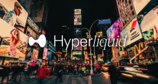 Hyperliquid finanza onchain intervista Rysk Finance
