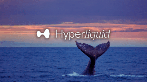 Hyperliquid HYPE balene retail disaccordo