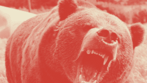 mercato bear crypto e Bitcoin