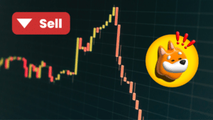 Bonk crypto crollo governance
