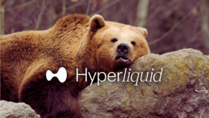 Hyperliquid bear market crypto record