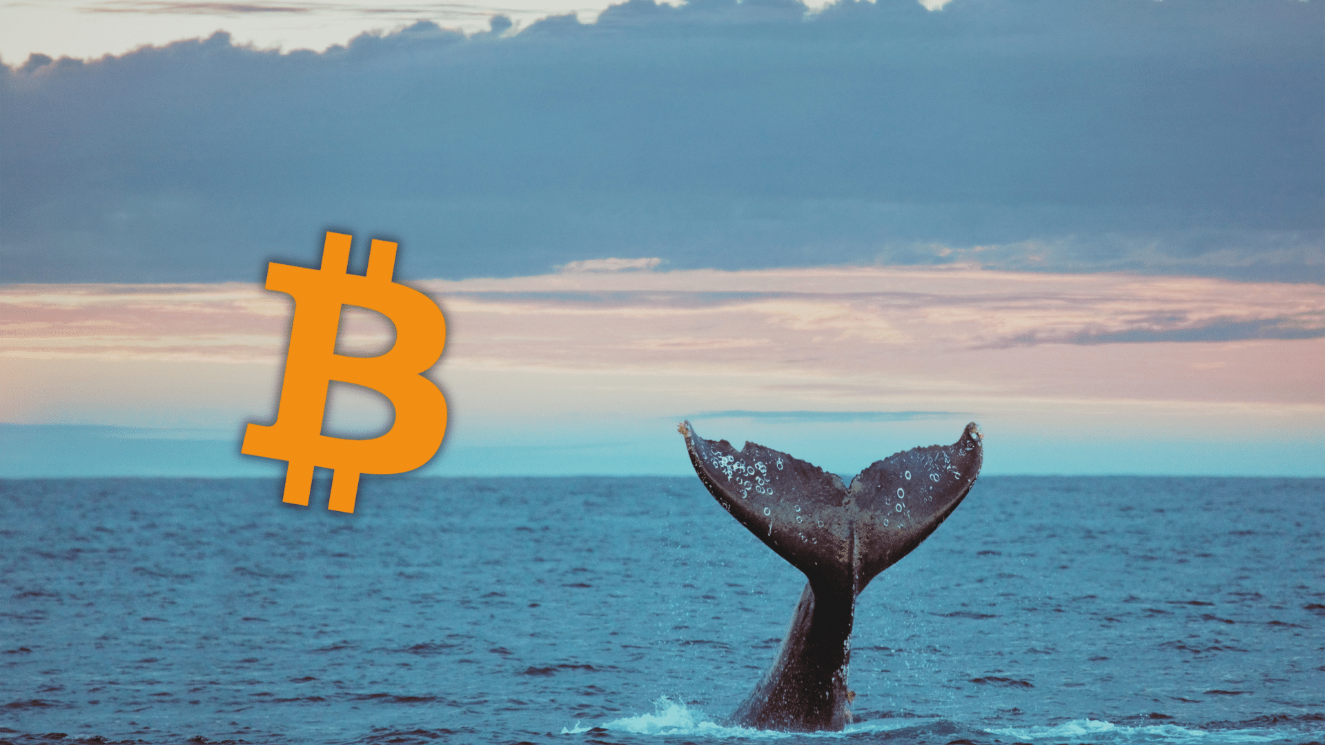 Bitcoin: balena torna in attività dopo 7 anni e muove 188 milioni. È una notizia bullish?