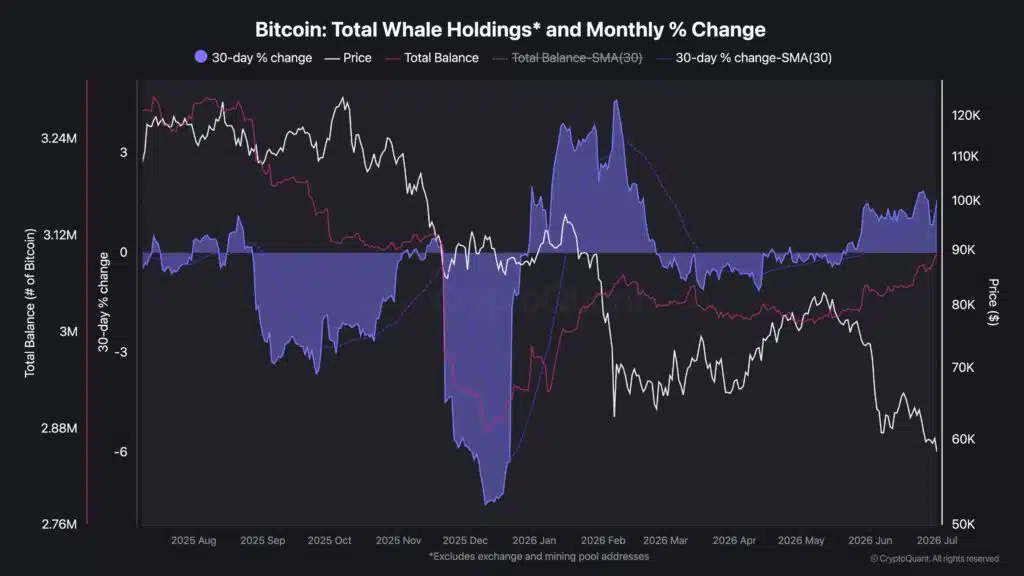 Accumulazione balene Bitcoin dato reale