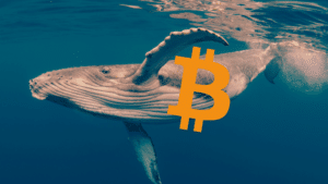 Bitcoin balene fake news BTC accumulazione