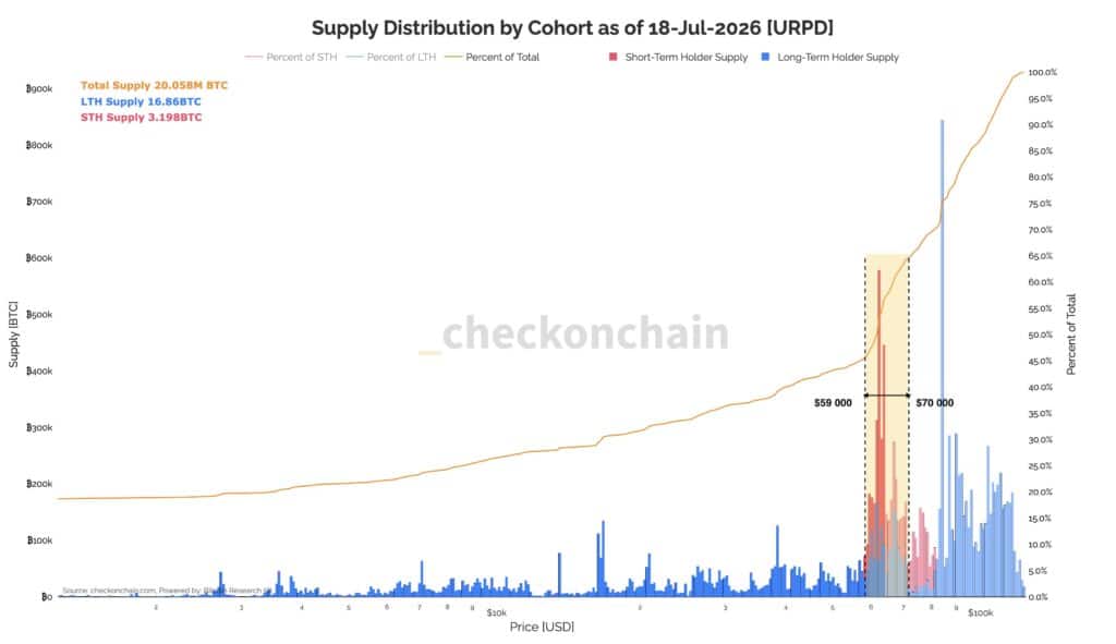 Supply Bitcoin per coorti