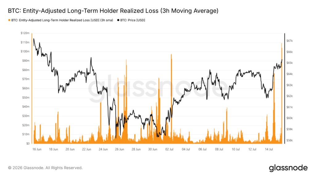 Perdite realizzate long term Bicoin