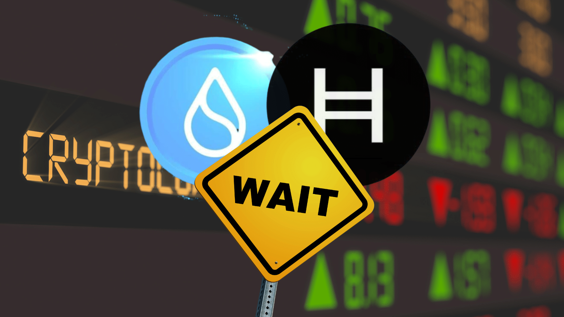 SUI vola in Africa, Hedera al test dei minimi: cosa sta succedendo alle altcoin a luglio