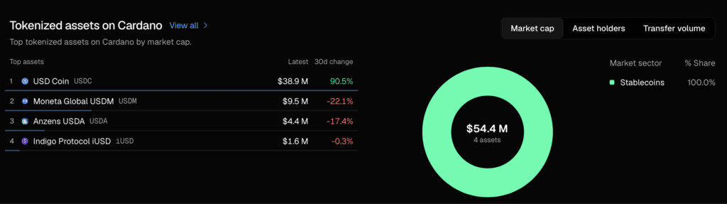 Tokenized assets on Cardano