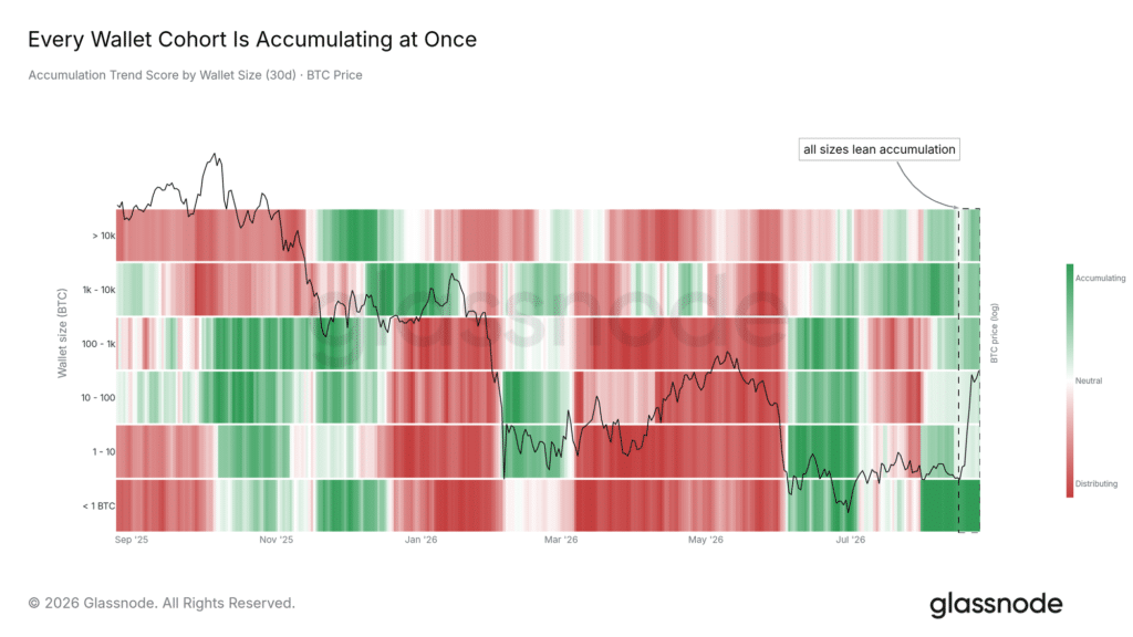 Accumulazione coorti holder Bitcoin