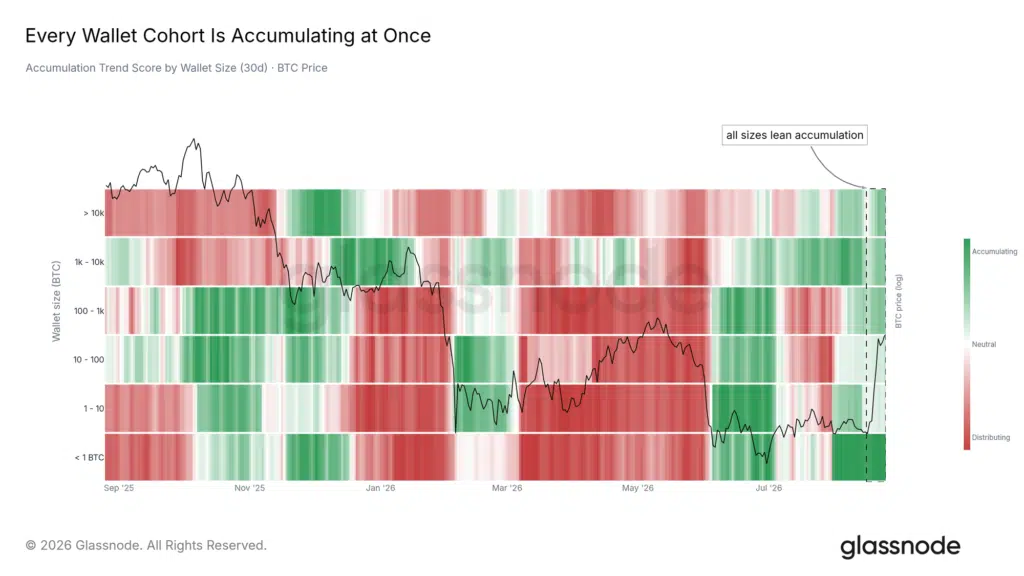 Accumulazione coorti holder Bitcoin