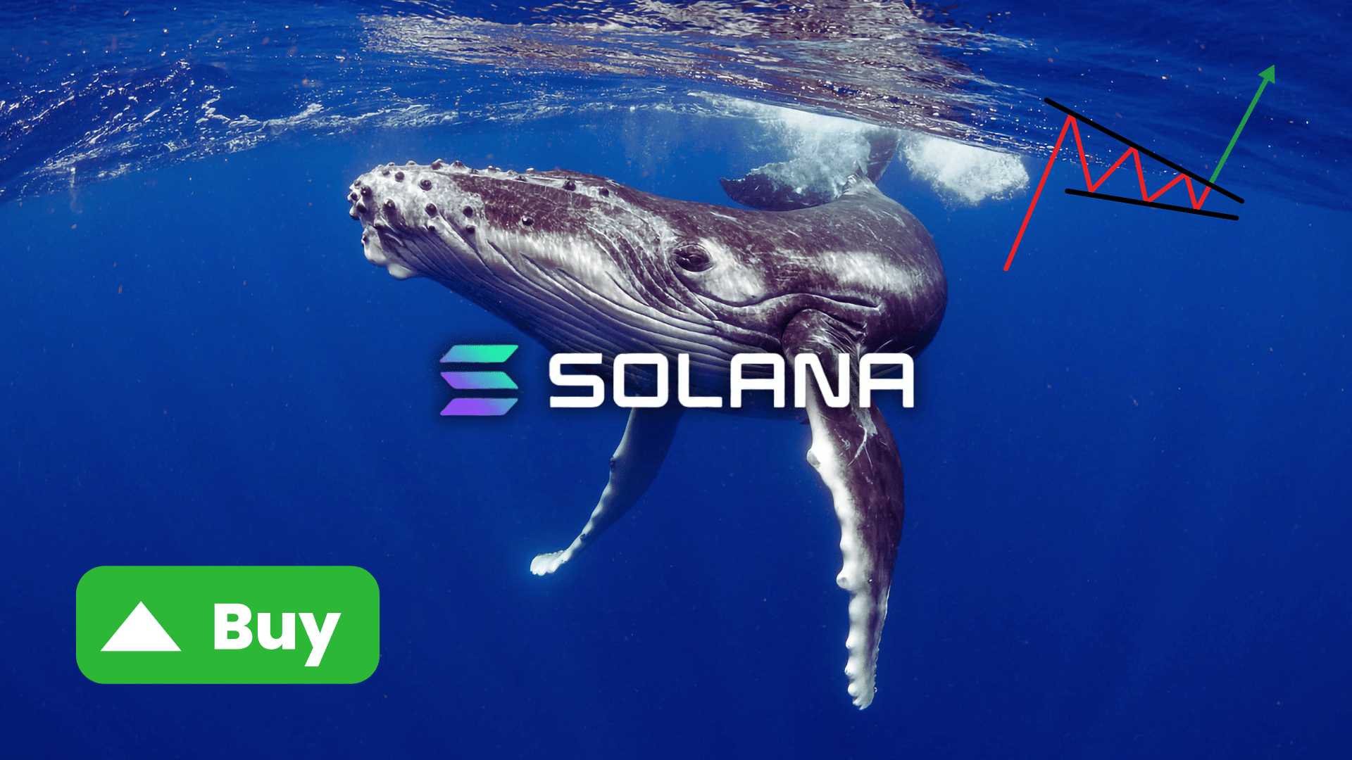 Le balene più intelligenti stanno comprando Solana: milioni spesi per cavalcare il rally di $SOL