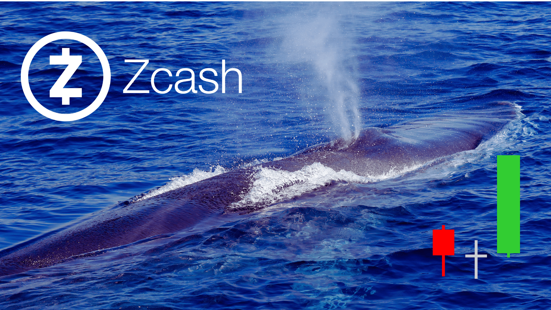 Una balena scarica lo 0,5% della supply di $ZEC su Hyperliquid, ma il prezzo regge: la domanda resta forte
