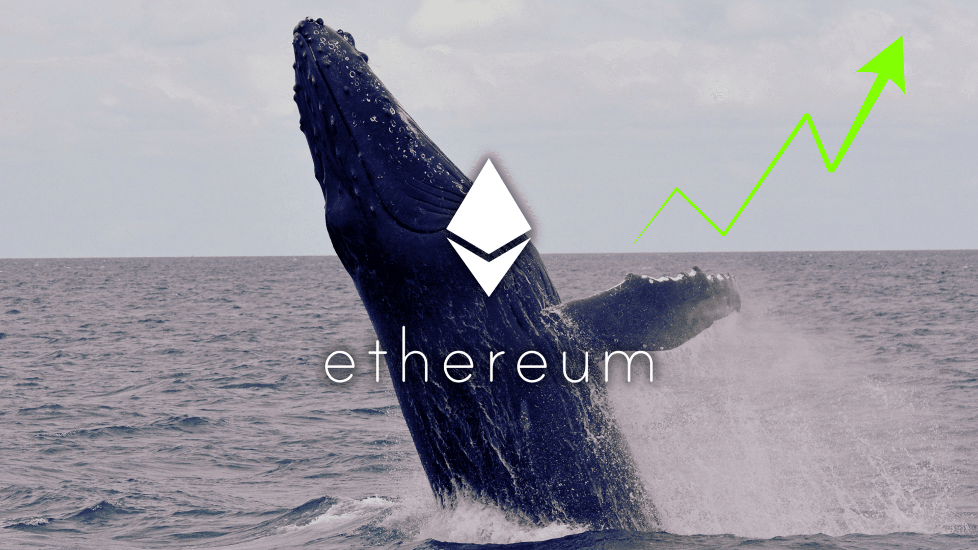 Aveva comprato Ethereum a meno di 1$ nel 2015: ora la stessa balena sta scommettendo milioni su questo token