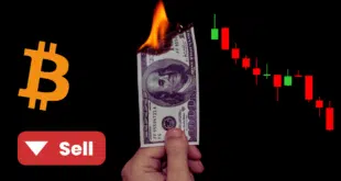 Bitcoin trader brucia profitti crypto