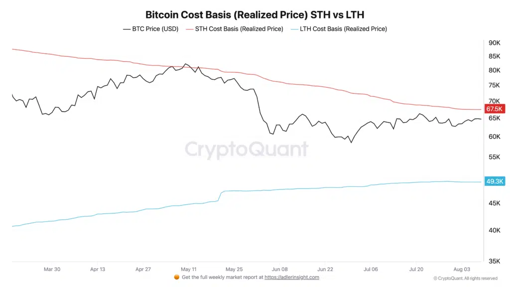 Bitcoin cost basis STH LTH