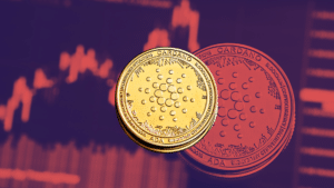 Cardano Agosto rialzo