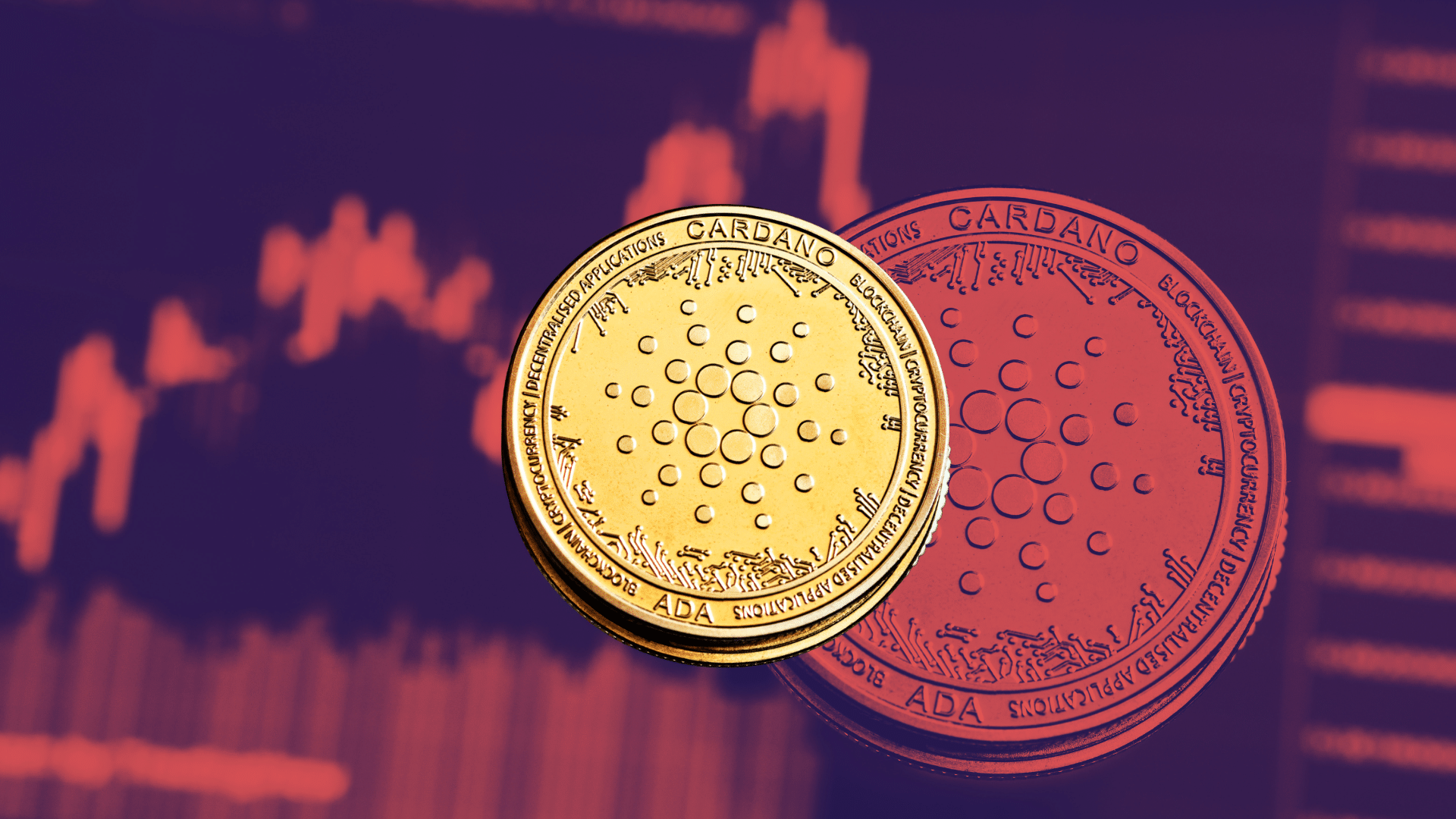 Il recupero di Cardano sorprende ad agosto, ma i numeri della rete preoccupano