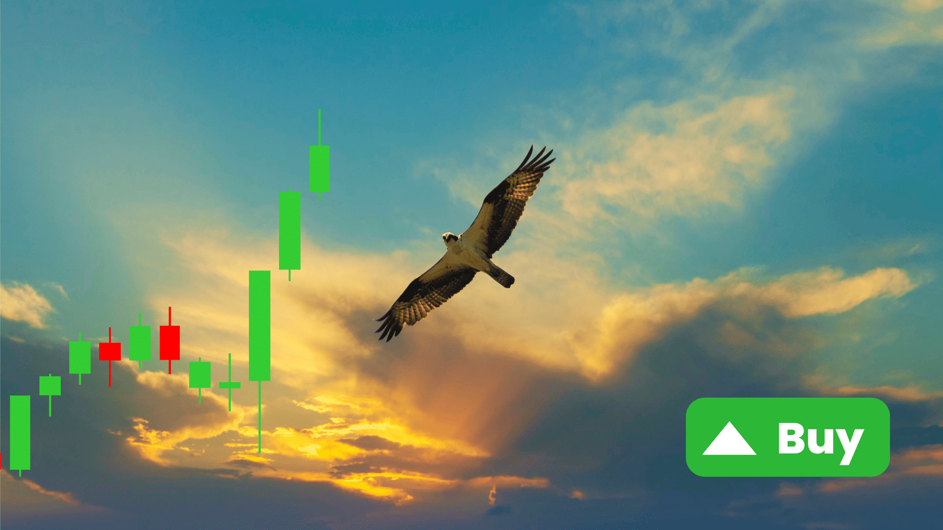 Il mercato crypto spicca il volo: ecco i token e i settori che stanno pompando di più