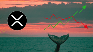 Ripple crypto accumulazione balene XRP trading
