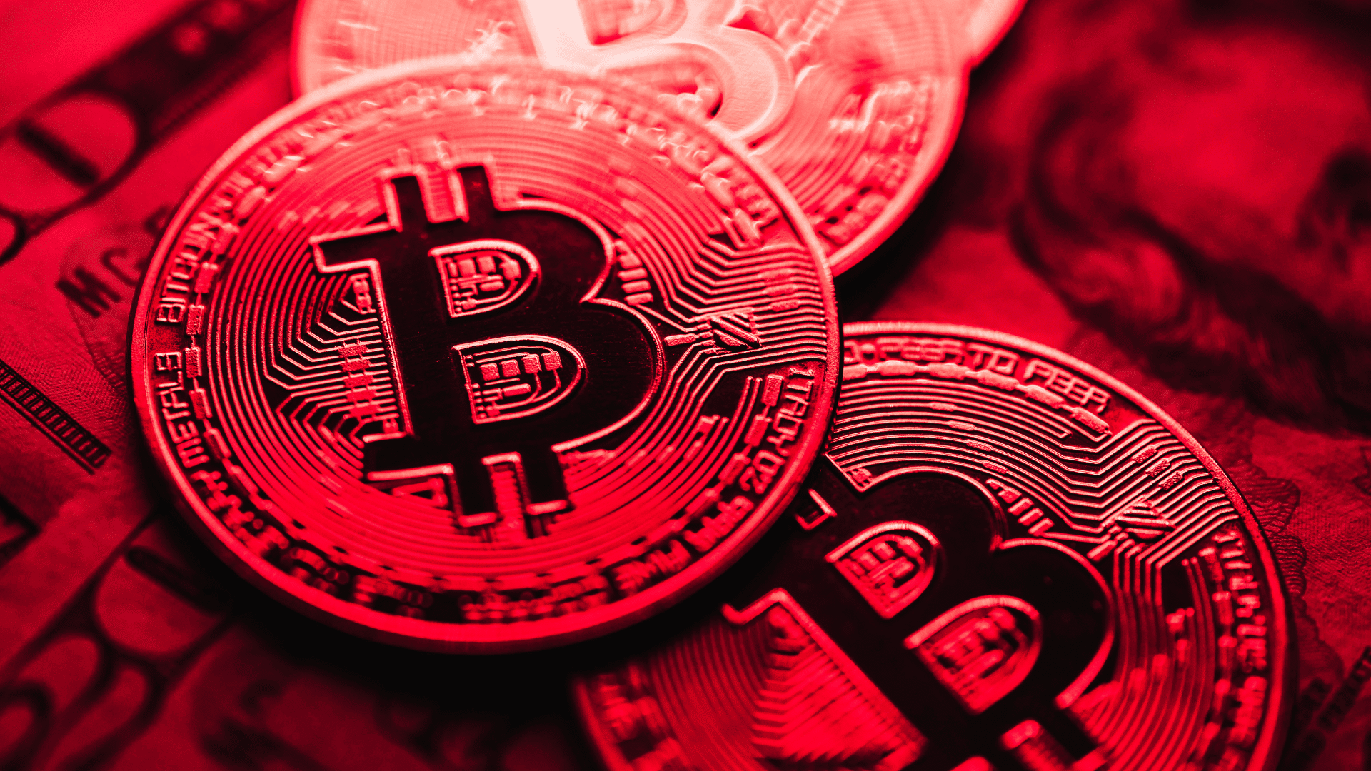 Bitcoin? Sarà il ciclo più importante di sempre, secondo Matt Cole, che intanto "copia" Michael Saylor