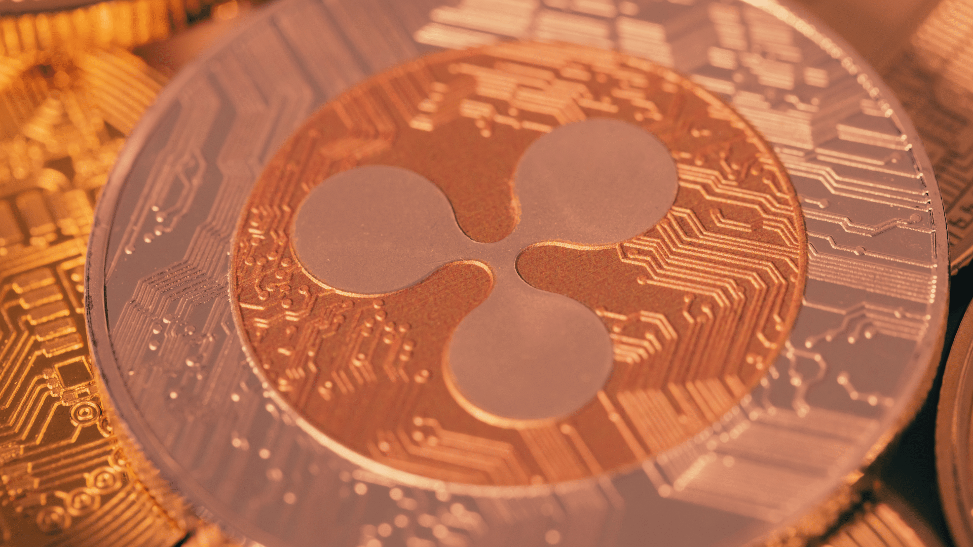 Ripple vola a +20%: è la più forte di questa bull run. Qui ti spieghiamo perché (e quanto può durare)
