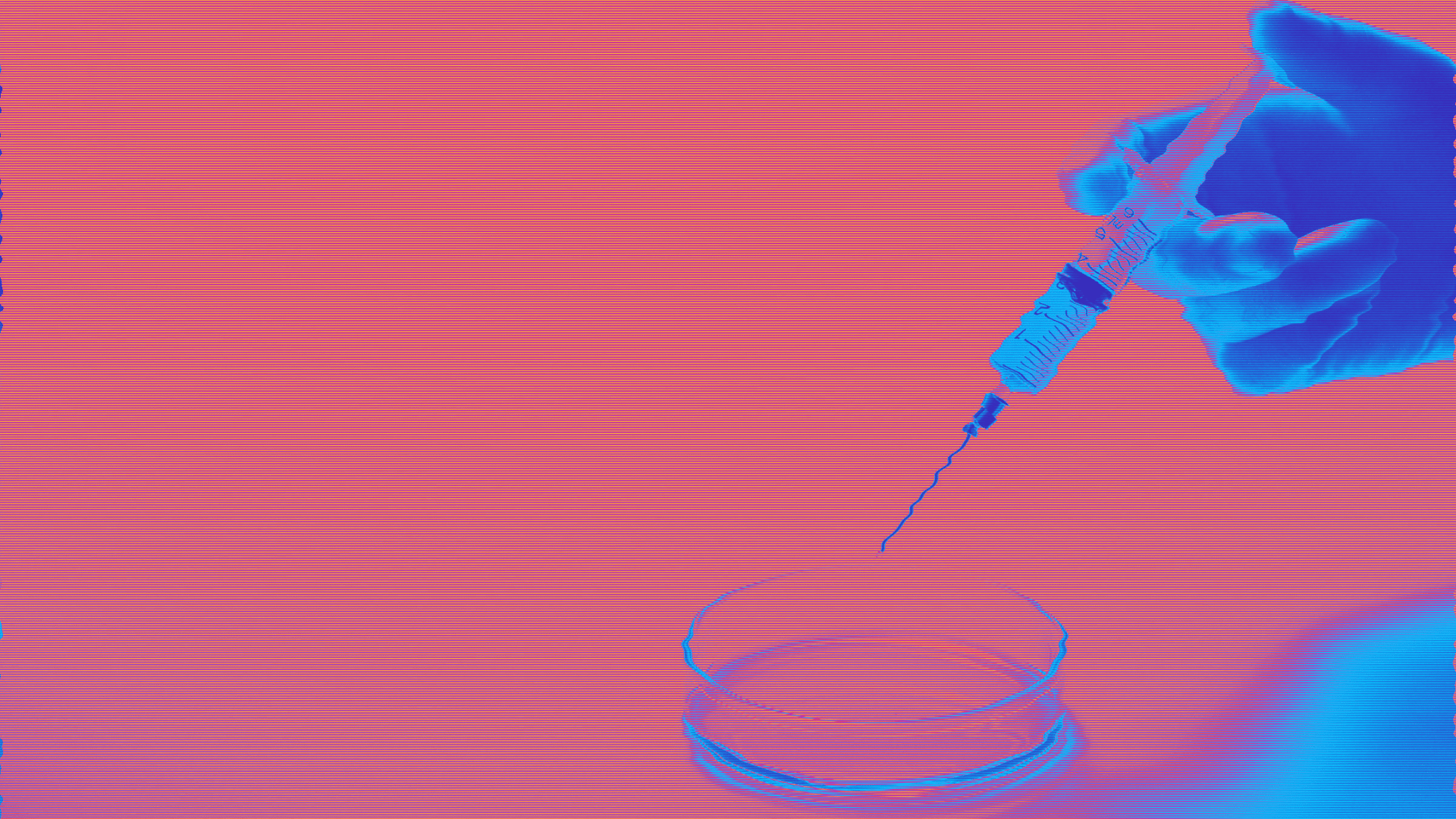 +100% in un anno: 26.000$ per una scimmia da laboratorio. Macabro boom del biotech in Cina