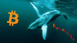 Whale Bitcoin crollo prezzo vendita