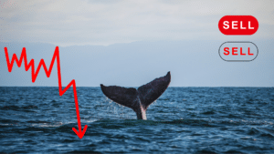 Balena posizione short perdita milioni dollari memecoin