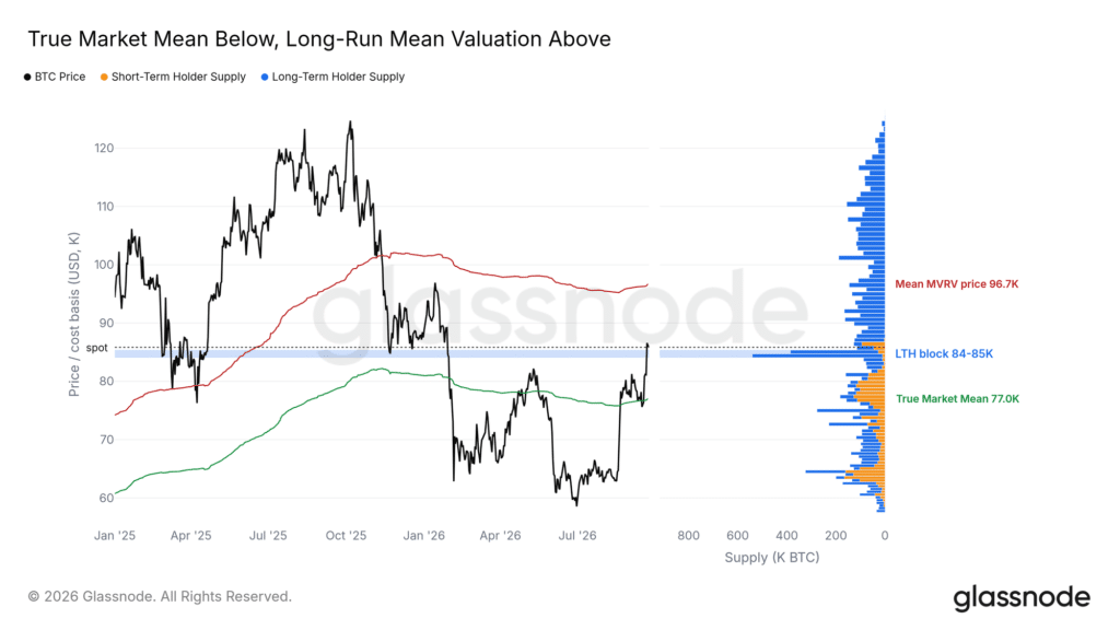 Bitcoin True Market Mean