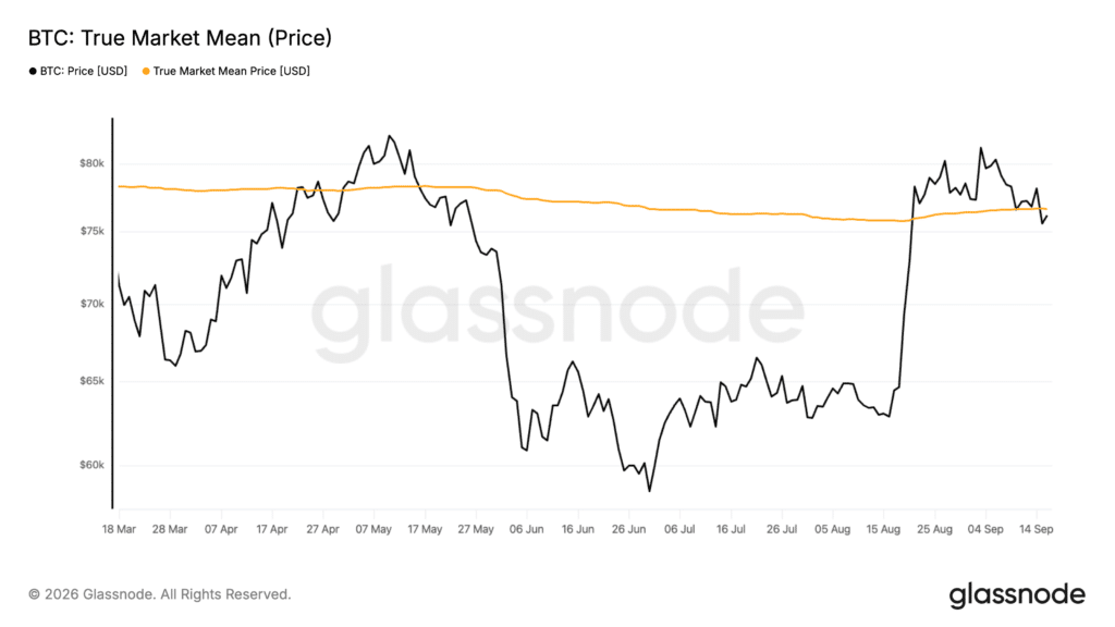 Bitcoin True Market Mean