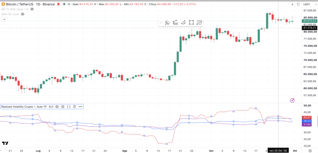 Bitcoin e la realized volatility