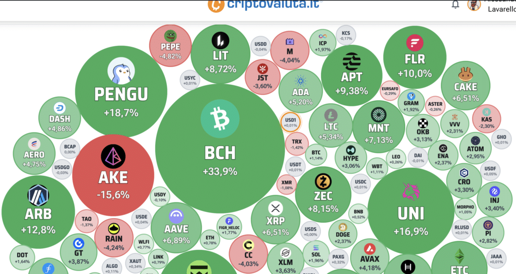 Crypto Bubbles – Fonte: Criptovaluta.it®