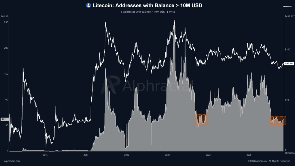 Litecoin indirizzi balene
