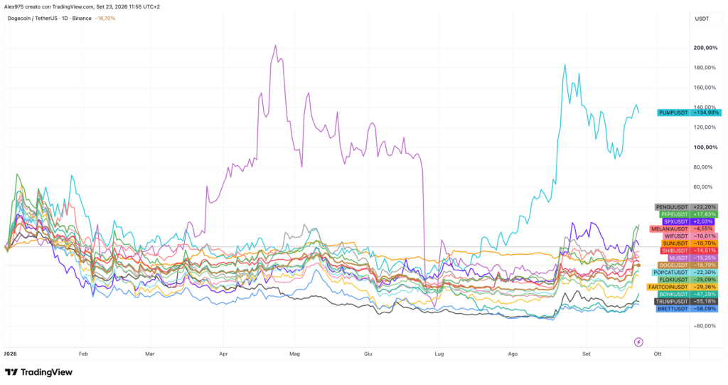 Meme coin principali andamento YTD