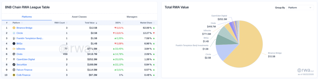 Piattaforme RWA su BNB Chain - Fonte: RWA.xyz