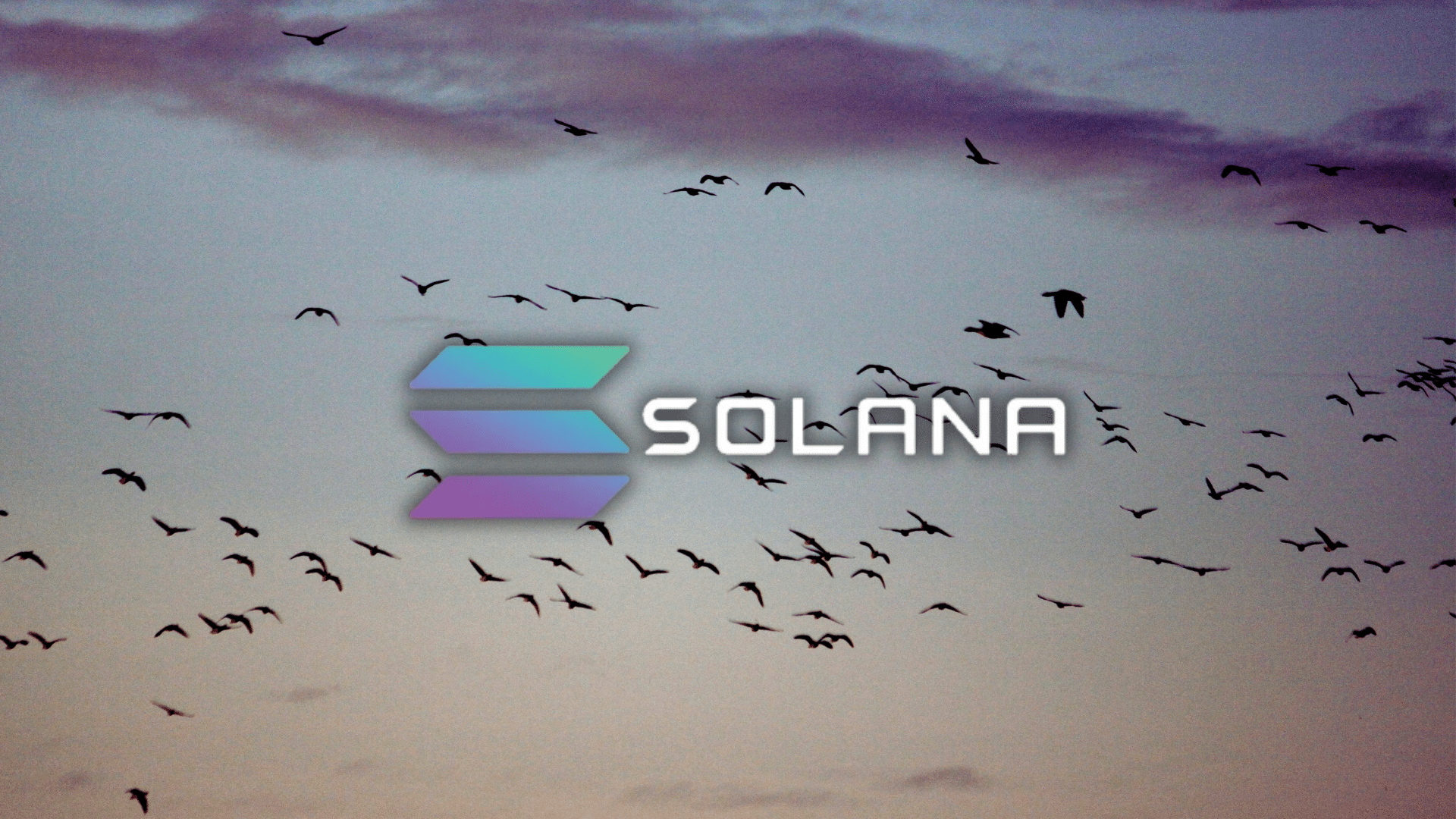 Questo token sta migrando su Solana durante il boom delle transazioni: prezzi esplodono a +70%