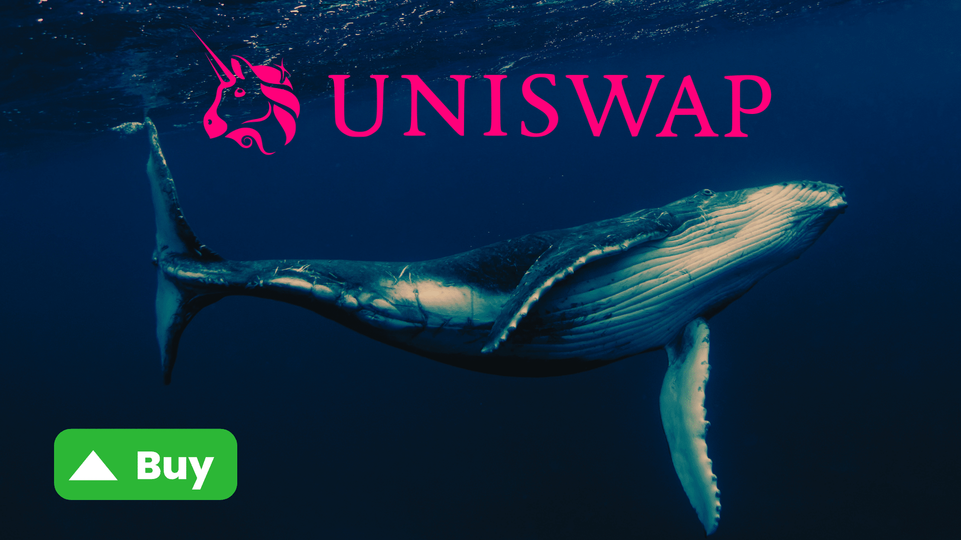 Uniswap: le balene acquistano milioni di dollari di $UNI mentre la crypto si avvicina a una resistenza chiave