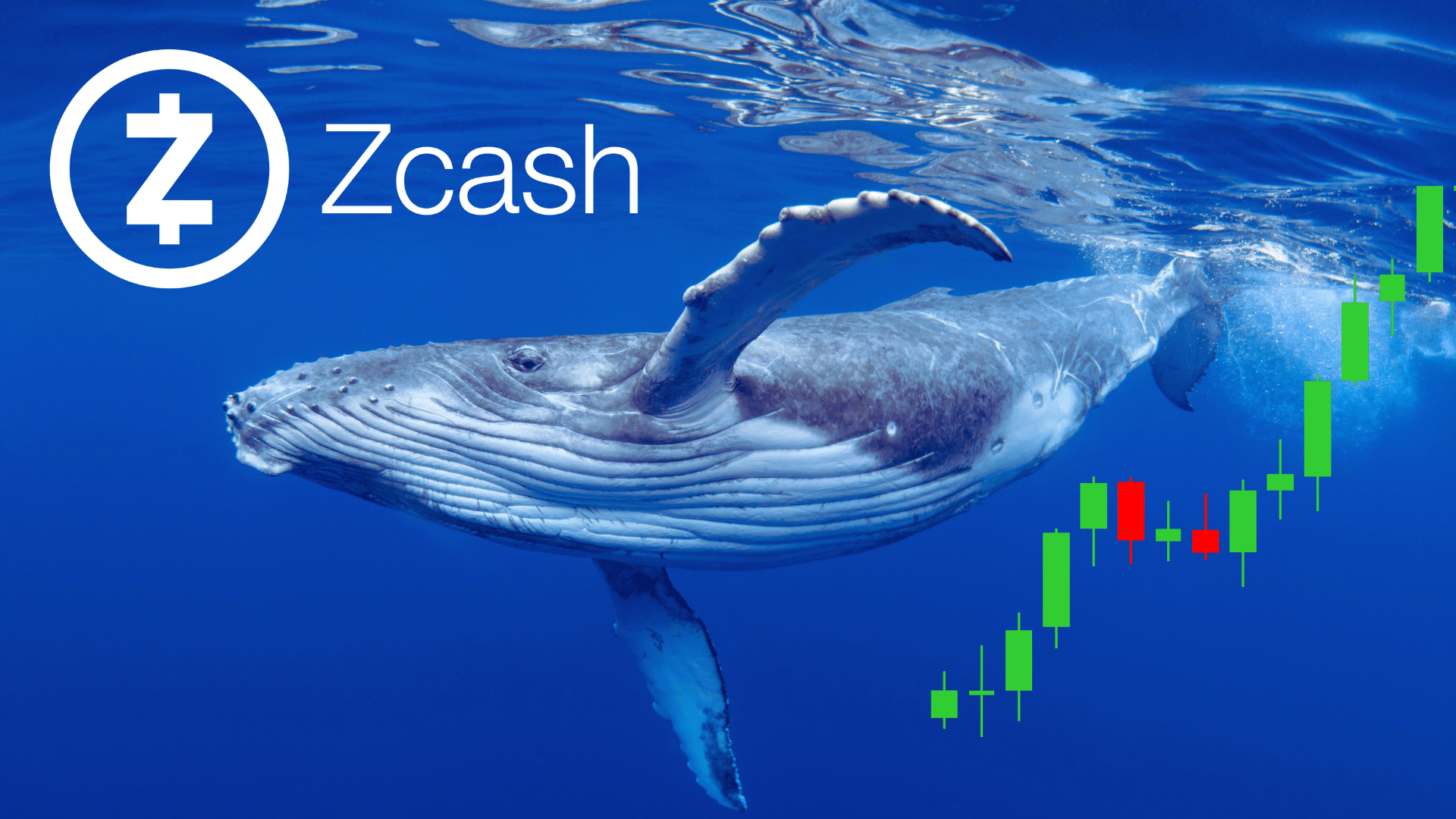 Le balene vanno all-in su Zcash: $ZEC tocca nuovi massimi storici e liquida 50 milioni di short