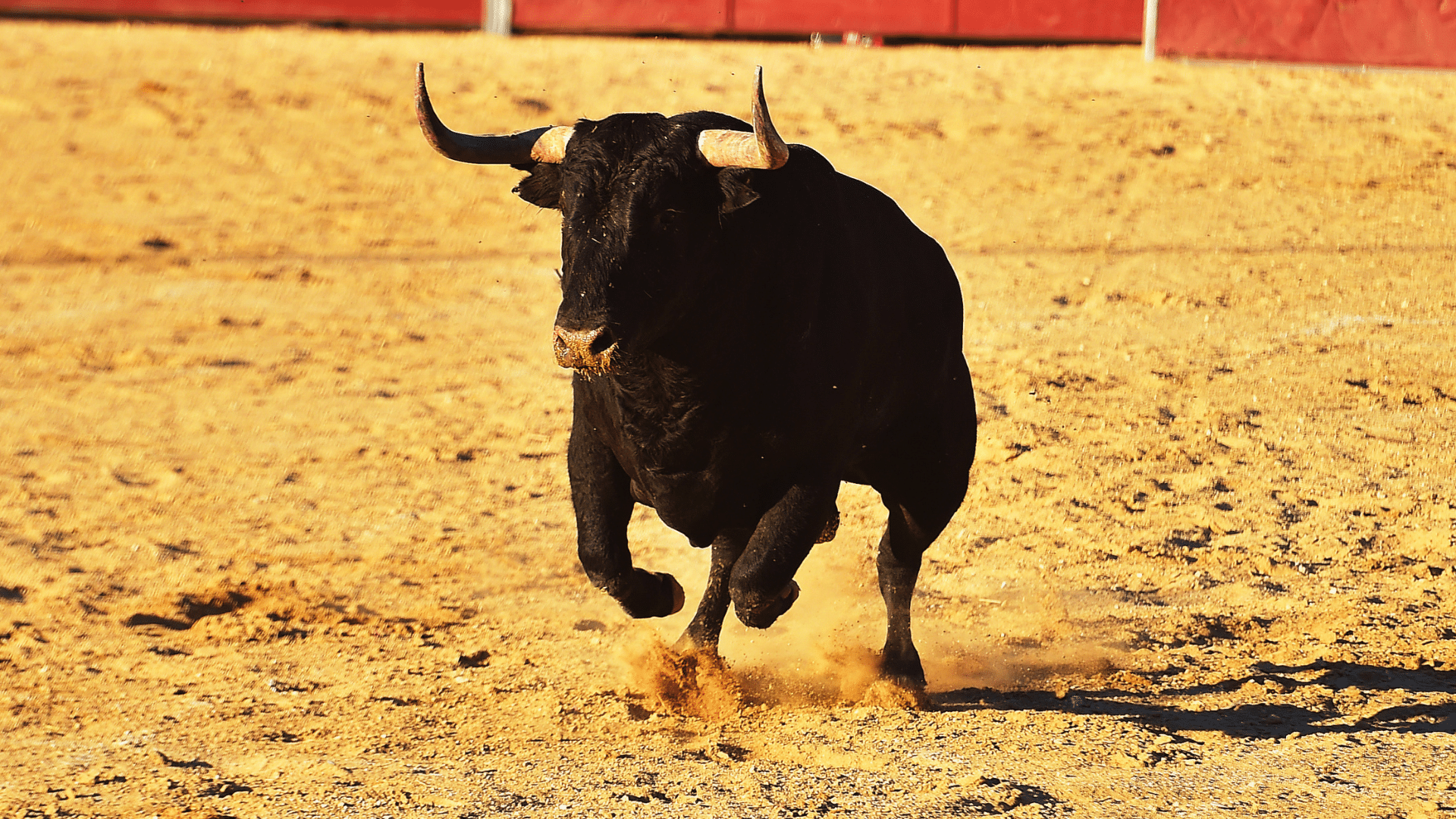 Bitcoin: 3 indicatori per la bull run prima di ottobre. I mercati possono cambiare solo così