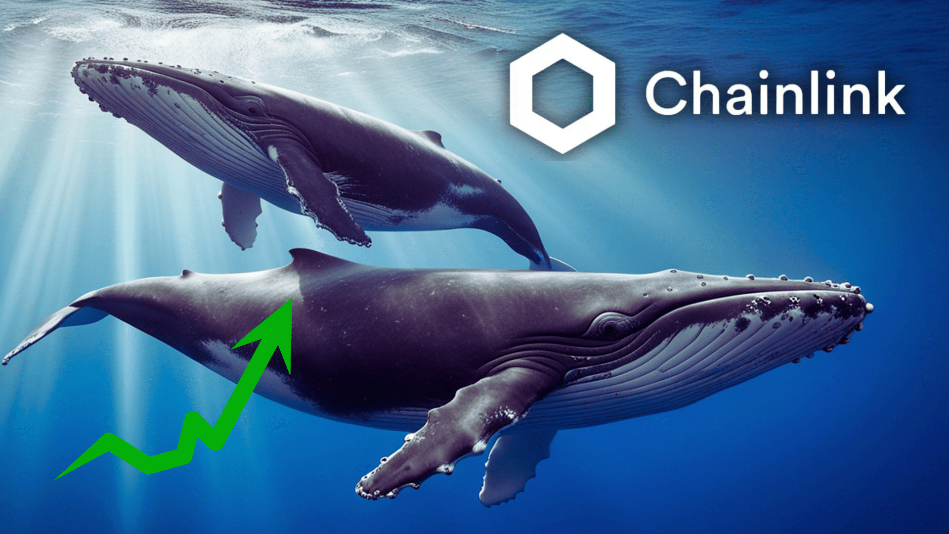 L'attività delle balene di Chainlink ai massimi da novembre 2025. Il protocollo accelera sulla tokenizzazione