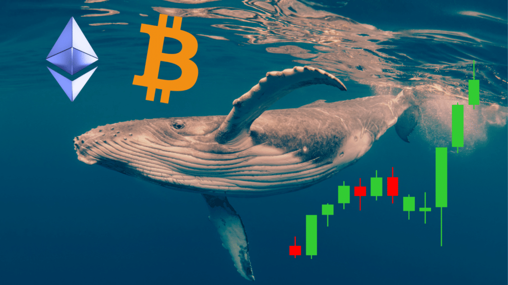Balena sfrutta il rimbalzo di Bitcoin ed Ethereum e apre maxi posizioni long: era in profitto di 1 milione in meno di 24 ore, ma…