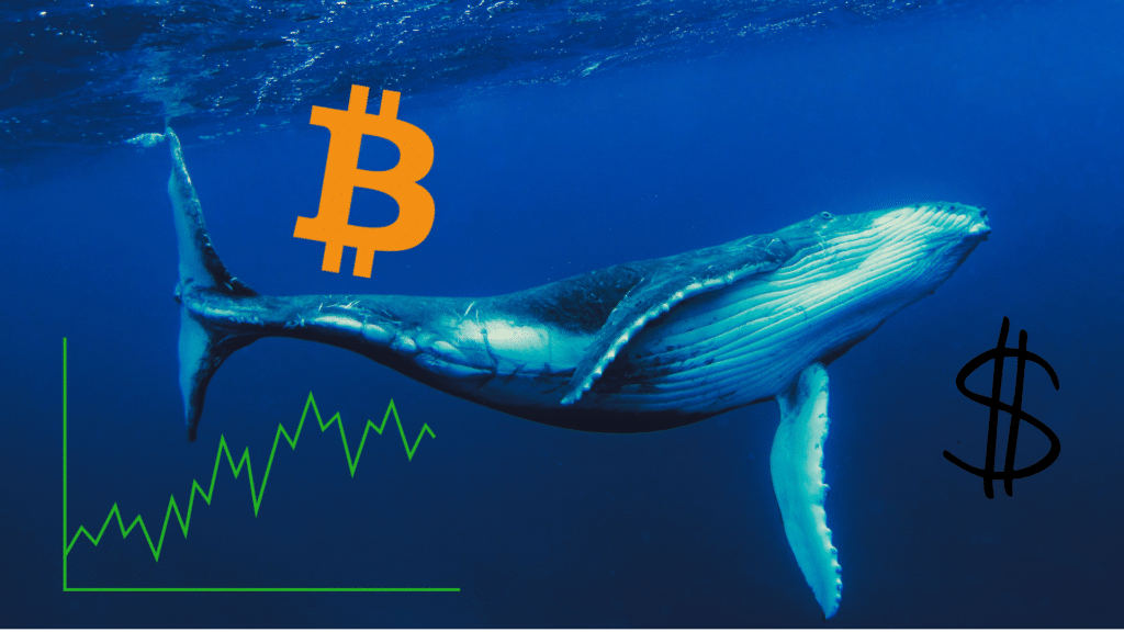 Lookonchain: Bitcoin OG Wallets Move Test Amounts After Years of Inactivity