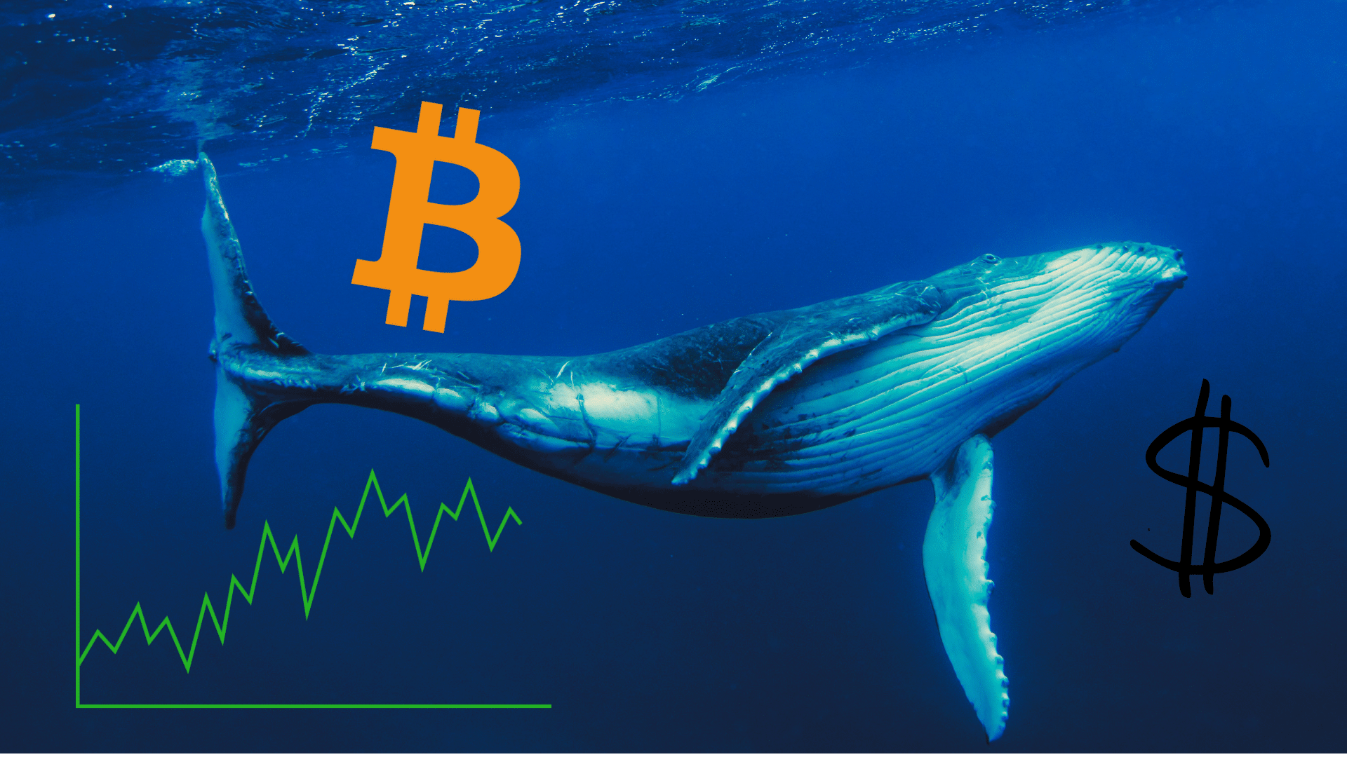 Due maxi balene avevano acquistato Bitcoin a $178 nel 2013: ora vendono con un profitto del 47.800%