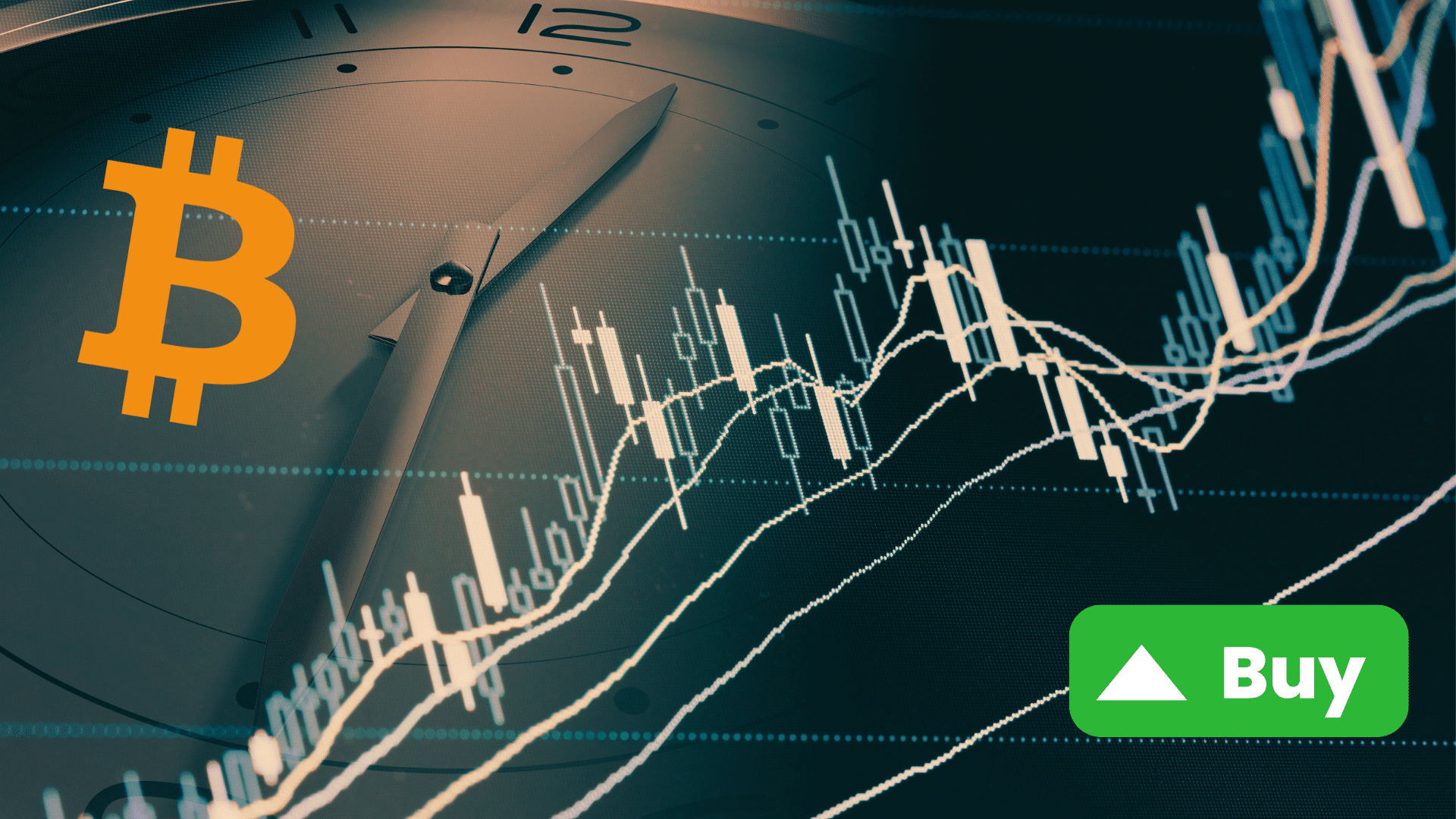 +2.200% da inizio anno, mentre i mercati crypto soffrono. Il segreto del progetto che continua a volare
