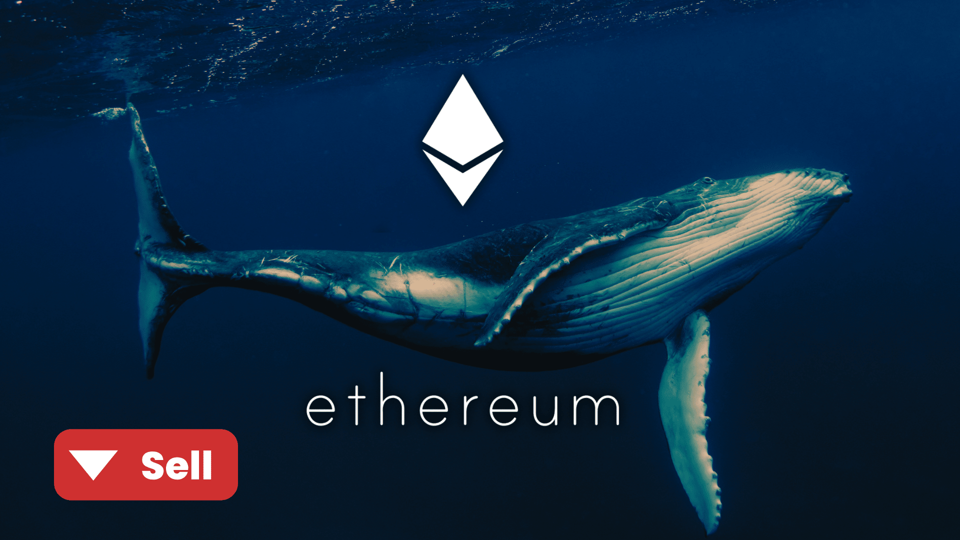 Una balena aveva acquistato Ethereum a 14 dollari nel 2016: ora vende tutto per 16 milioni, ma potrebbe pentirsene presto