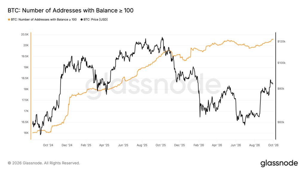Indirizzi Bitcoin bilancio maggiore a 100 $BTC
