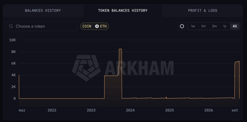 Bilancio ETH wallet balena