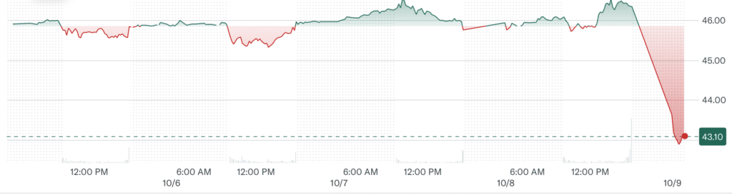 verizon stocks